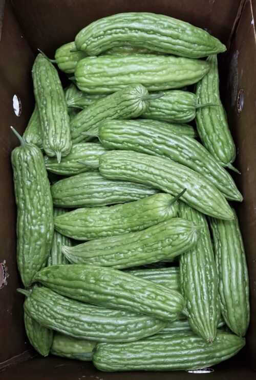 Bittermelon - Ampalaya - 0,5 kg - VERSANDRISIKO