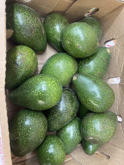 Avocado 1kg