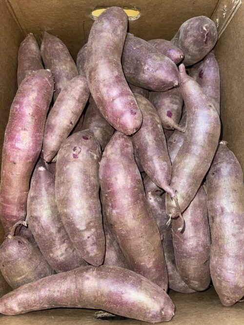 Purple Sweet Potato - 1kg