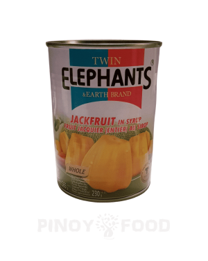 Twin Elephants & Earth Brand - Jackfruit in Syrup - 565g