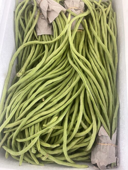 String Bean /Long Bean - 0,5kg