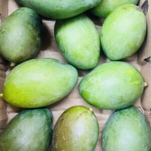 Green Mango - 1kg - VERSANDRISIKO