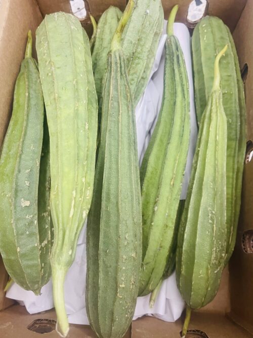 Luffa - Patola - 0,5kg - VERSANDRISIKO